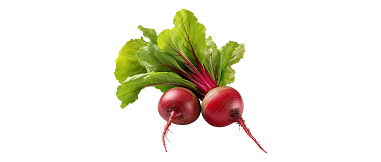 beet