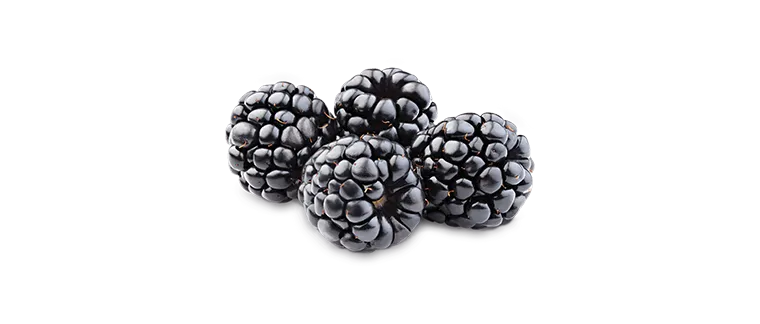 blackberry