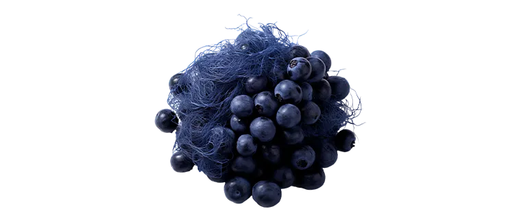 blueberry fiber