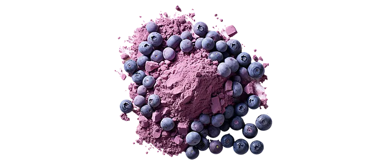 blueberry powder