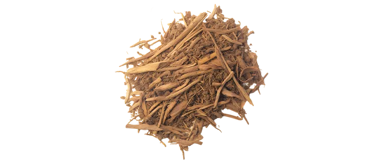 sarsaparilla  root