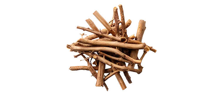 sarsaparilla root