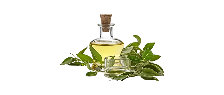 schidigera extract