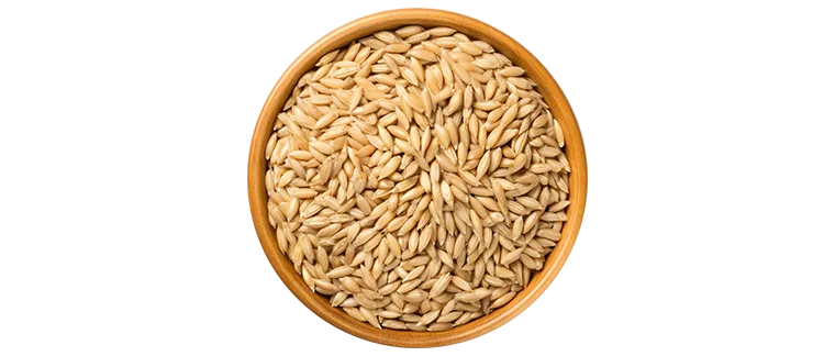 whole barley