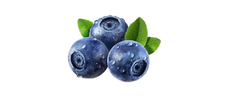 whole blueberry