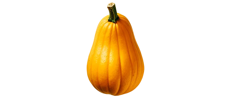 whole butternut squash