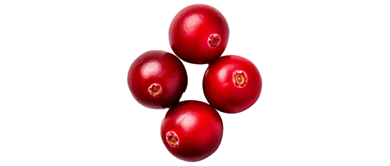 whole cranberry