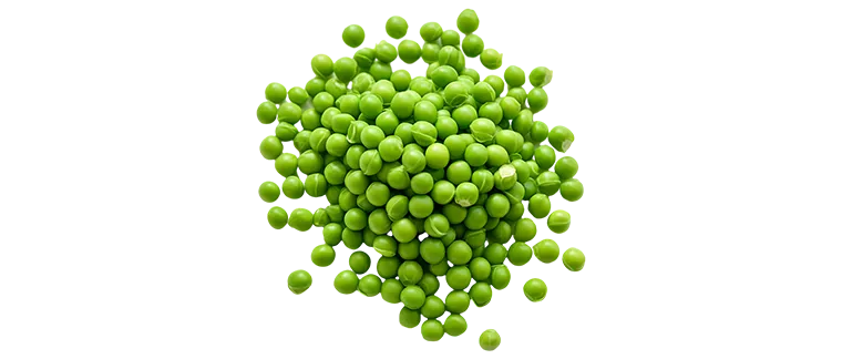 whole dried green pea