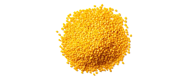 whole grain ground corn